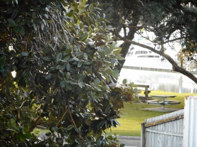 Apartment By The Marina Whitianga Extérieur photo